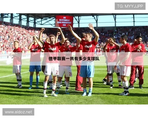 德甲转会市场总览