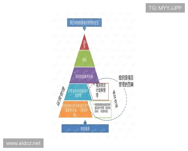 杜埃职业发展路径的合理性与定位争议解析